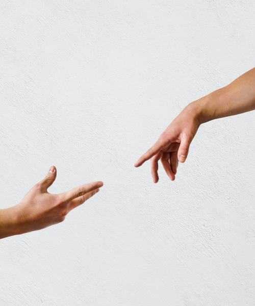 Copie de pack de vinci